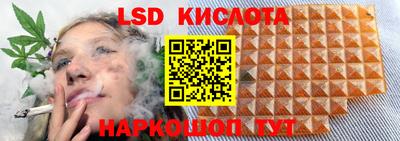apvp Тулун