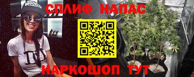 apvp Тулун