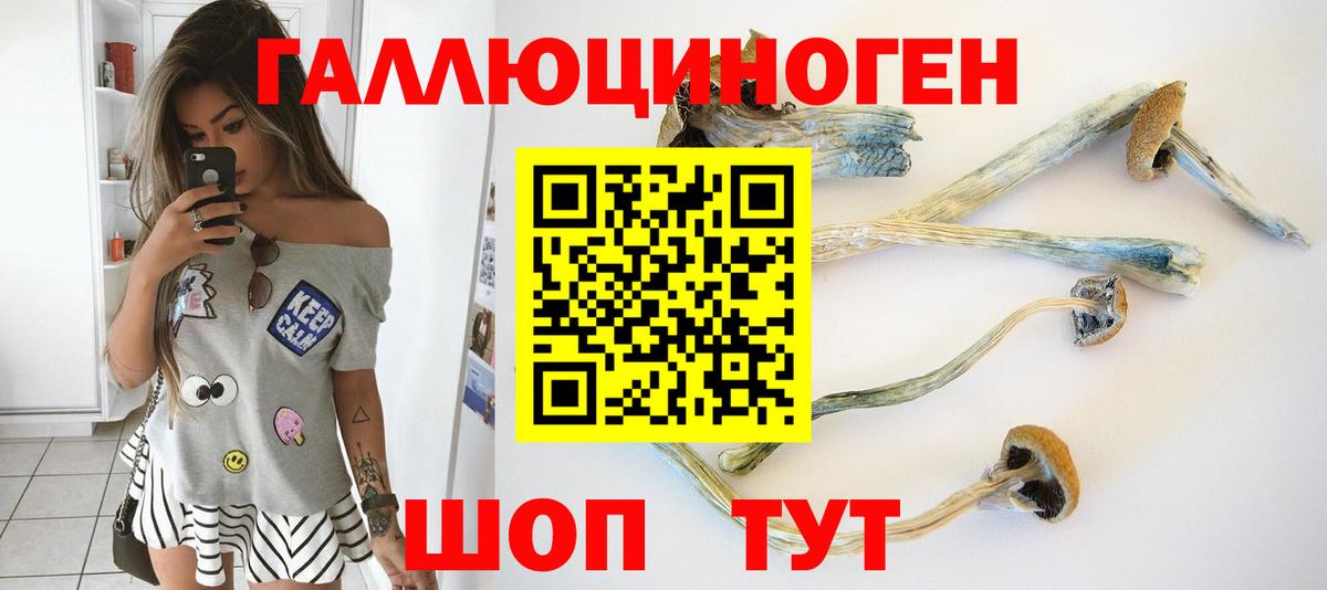 Галлюциногенные грибы Psilocybine cubensis Нефтекумск